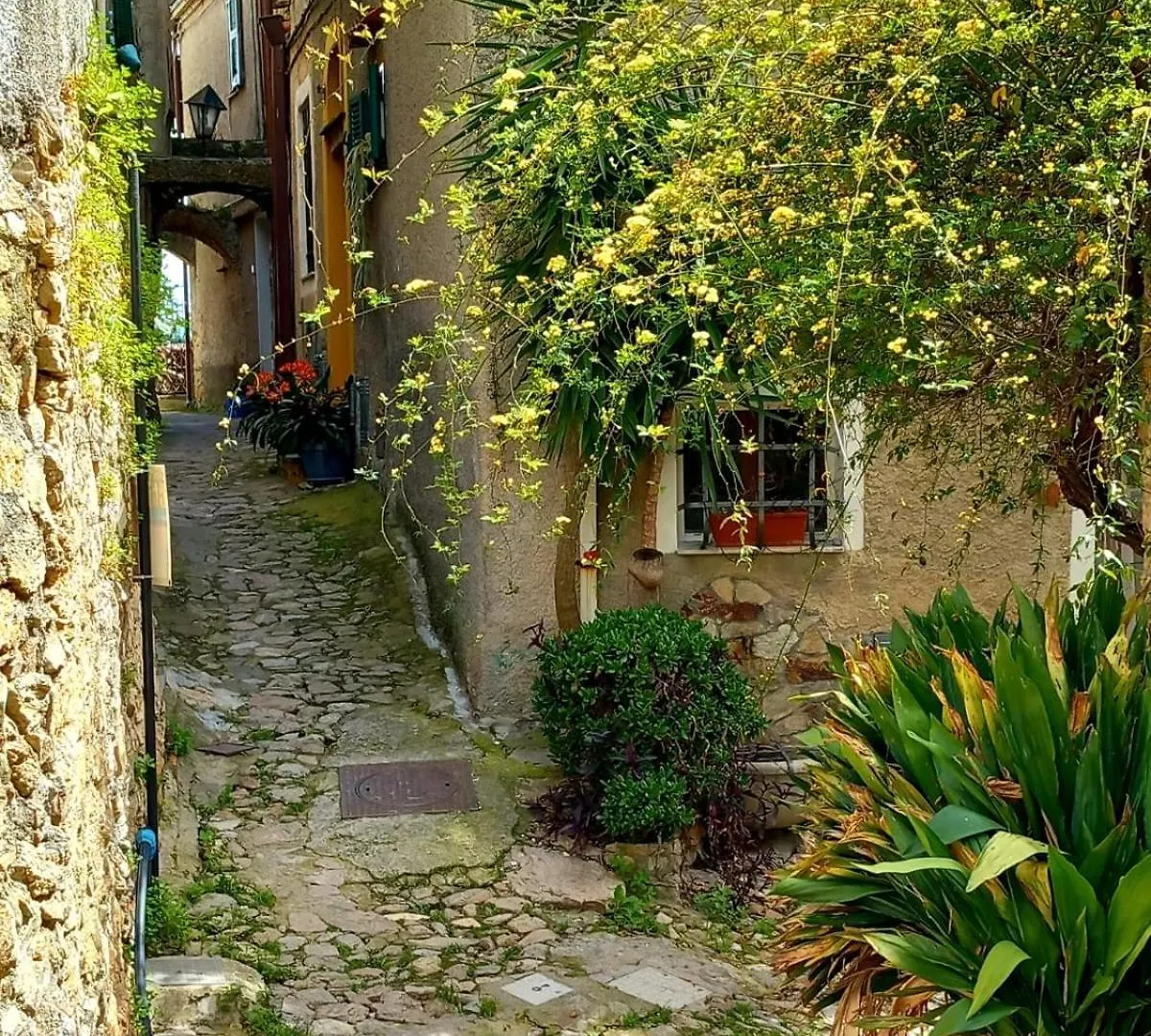 Hostdomus - Le Vigne Sul Mare Apartment Pietra Ligure